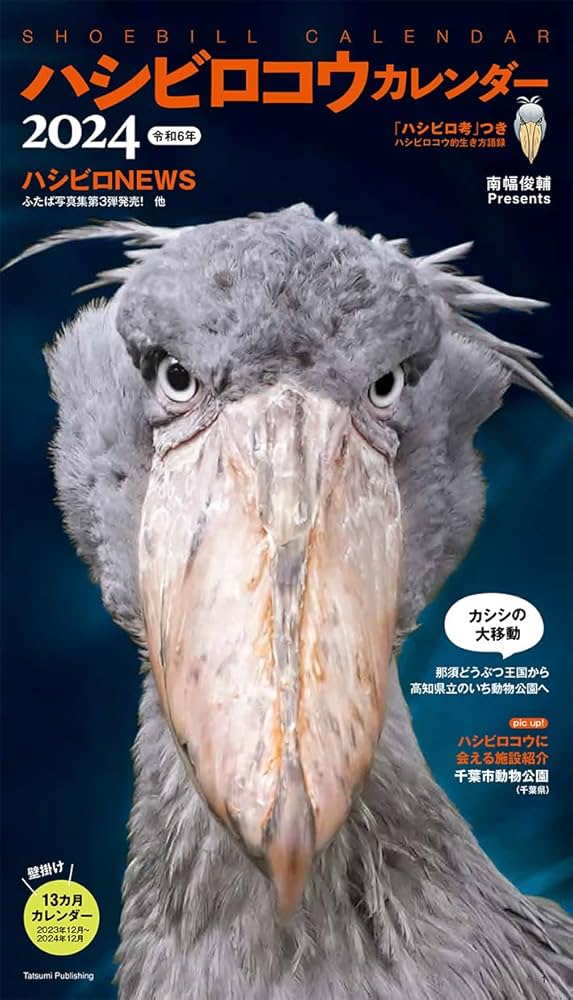 ハシビロコウ　フドウくん　ポスター　B2 71r5nvYxs-L._UF350,350_QL50_.jpg
